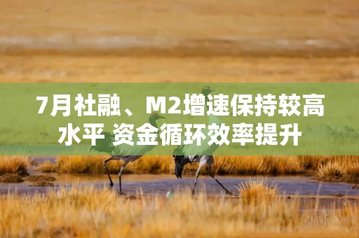 7月社融、M2增速保持较高水平 资金循环效率提升
