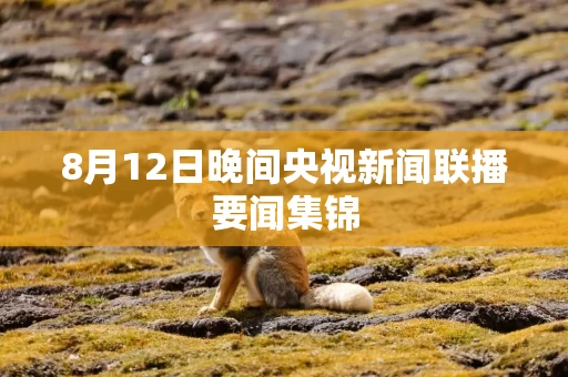 8月12日晚间央视新闻联播要闻集锦