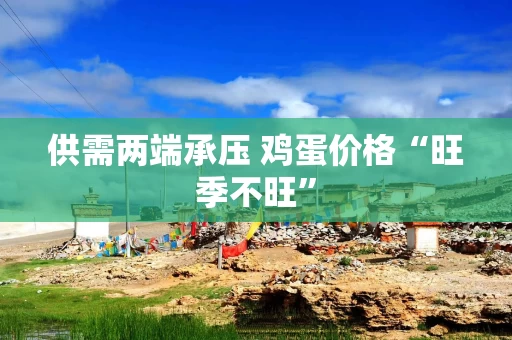 供需两端承压 鸡蛋价格“旺季不旺”