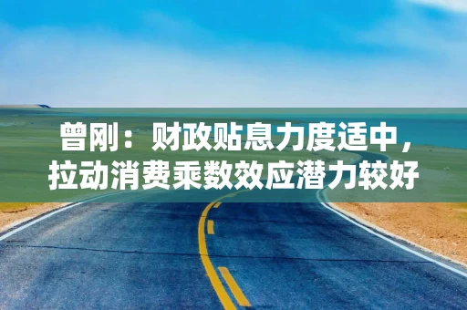 曾刚：财政贴息力度适中，拉动消费乘数效应潜力较好