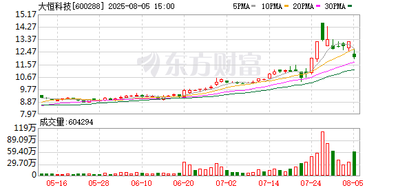 徐翔母亲所持大恒科技股份法拍结果揭晓：每股均价13.17元 8名受让方中有7位是自然人