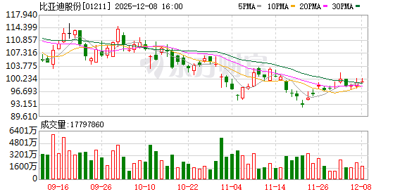 王传福:比亚迪是龙头老大 可以被别人欺负一下 但不能欺负别人