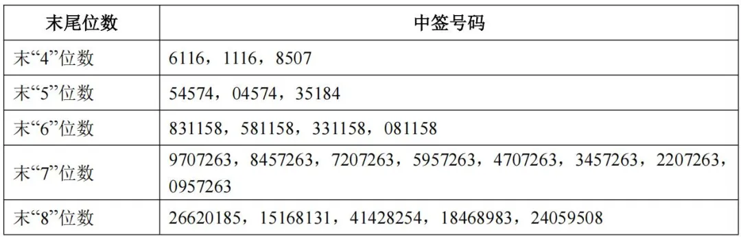 国产GPU新股中签号出炉！国家级基金及中国电信等参与战略配售