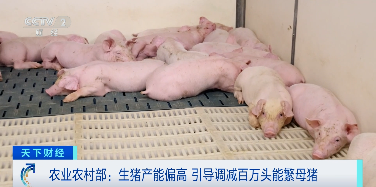 猪价同比大降！猪企要给“二师兄”减肥了