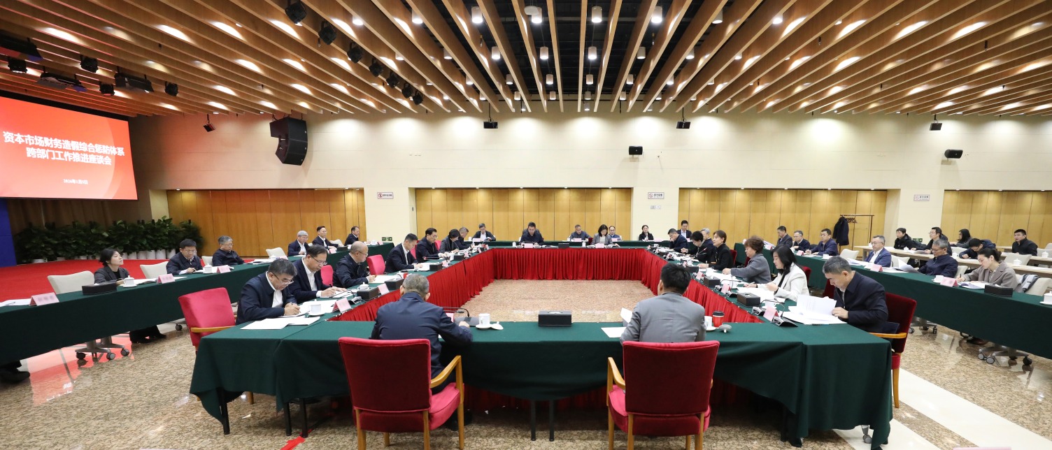 证监会召开资本市场财务造假综合惩防体系跨部门工作推进座谈会