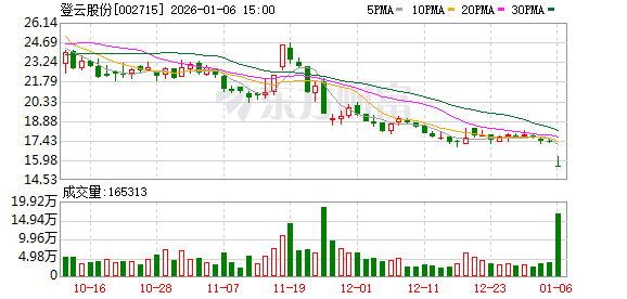 涉嫌非法吸收公众存款罪 登云股份实控人杨涛被批捕 公司：未任职董事、高管，无重大影响