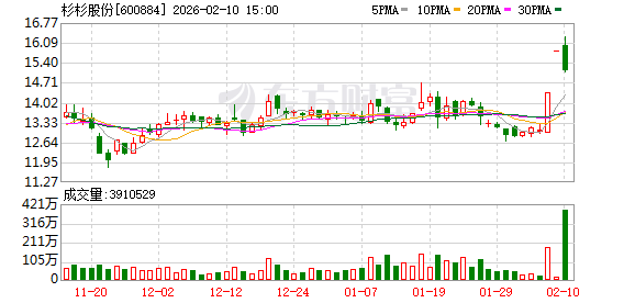 杉杉重整新进展 安徽国资拟入主