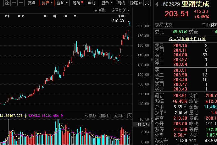 亚翔集成暴涨超18倍!10倍股回调榜出炉 机构扎堆关注这些优质股
