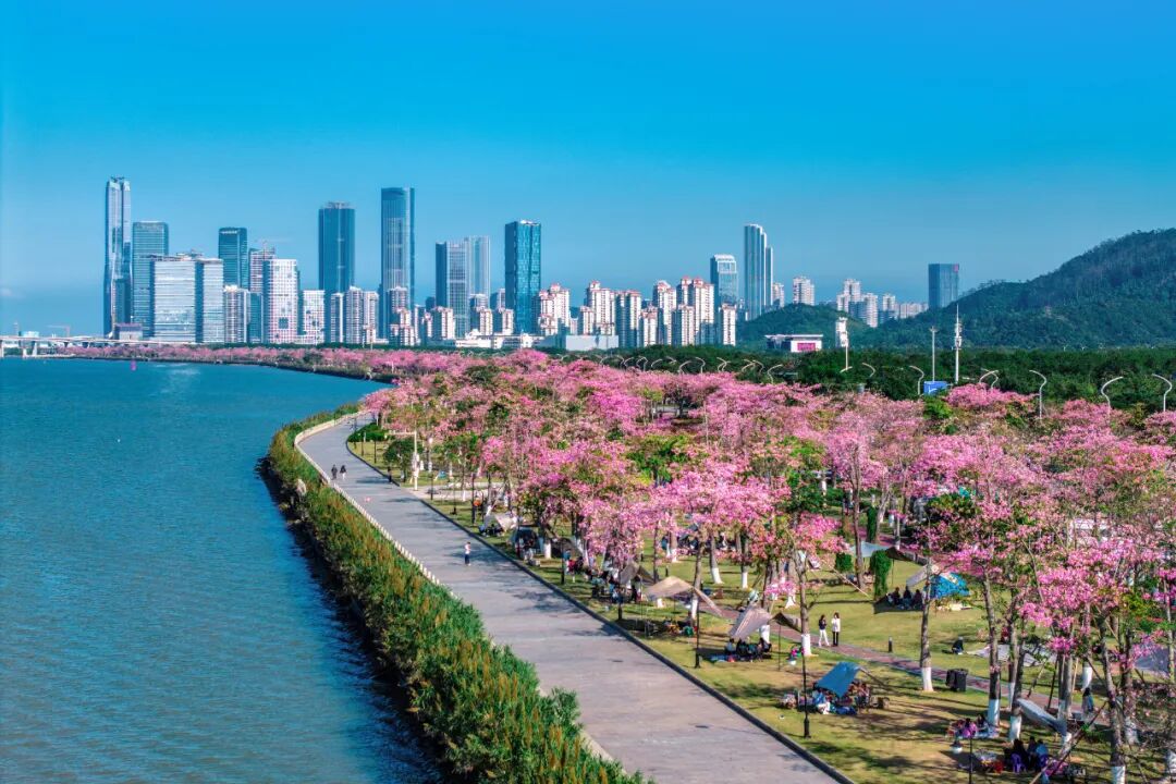 这座“桃花源”,藏在大湾区